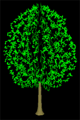 3D Tree